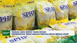Video: Marak Aksi Demo, Pemerintah Gencarkan Penyaluran Beras SPHP