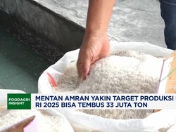 Video: Mentan Amran Pede Target Produksi Beras 2025 Tembus 33 Juta Ton