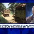 Video: Pengusaha Sawit Minta Industri Tak Dihambat Aturan Yang 