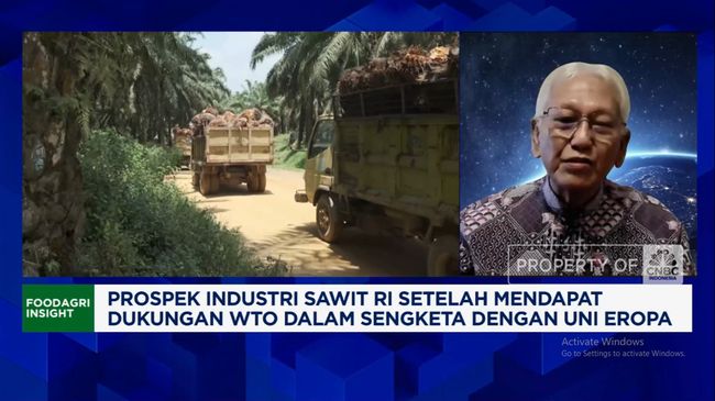 Video: Pengusaha Sawit Minta Industri Tak Dihambat Aturan Yang "Rumit"