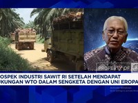 Video: Pengusaha Sawit Minta Industri Tak Dihambat Aturan Yang 
