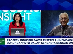 Video: Sawit RI "Dimusuhi", Pengusaha Mulai Tinggalkan Uni Eropa?