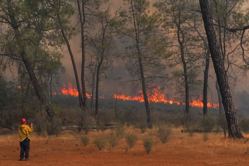 Api melalap sebuah rumah di Chinese Camp saat kebakaran hutan berkobar di Tuolumne County, California, AS, 2 September 2025. Api melalap sebuah rumah di Chinese Camp saat kebakaran hutan berkobar di Tuolumne County, California, AS, 2 September 2025. (REUTERS/Tracy Barbutes)