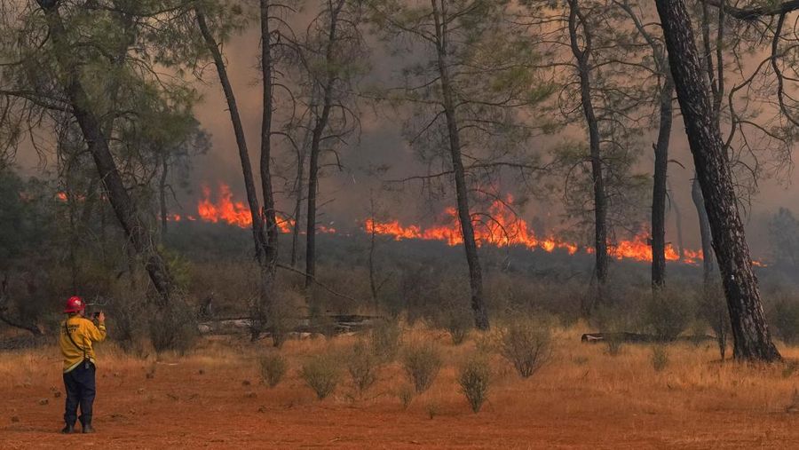 Api melalap sebuah rumah di Chinese Camp saat kebakaran hutan berkobar di Tuolumne County, California, AS, 2 September 2025. Api melalap sebuah rumah di Chinese Camp saat kebakaran hutan berkobar di Tuolumne County, California, AS, 2 September 2025. (REUTERS/Tracy Barbutes)