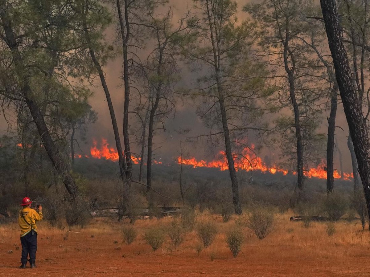 Kebakaran Hutan dan Perubahan Iklim Picu Polusi Udara Tinggi dan Risiko Kesehatan