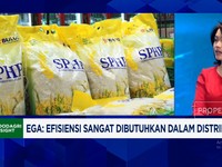 Video: Warga RI Keluhkan Kualitas Beras SPHP Bulog, Apa Solusinya?