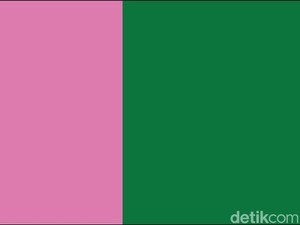Akar Sejarah Brave Pink dan Hero Green, Dari Pink Job Barat dan Folklor Indonesia