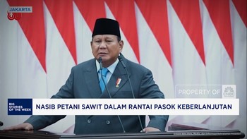 Video: Nasib Petani Sawit Dalam Rantai Pasok Berkelanjutan