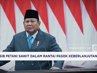 Video: Nasib Petani Sawit Dalam Rantai Pasok Berkelanjutan