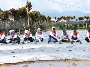 Pertamina Berdayakan Desa Rantau Dedap Lewat Energi Bersih-Wisata Edukasi