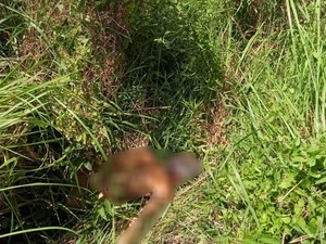 Ruswan Ditemukan Tewas di Palembang, Diduga Korban Pembunuhan