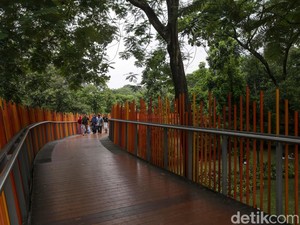 Pengelola Tebet Eco Park Tegur Komunitas yang Minta Rp 500 Ribu ke Fotografer