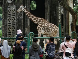 Pram: Ada Usul Tiket TM Ragunan Naik Jadi Rp 10 Ribu, Segera Saya Putuskan