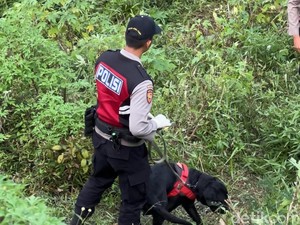 Video: Terungkap Sosok Wanita yang Dimutilasi Jadi 65 Bagian di Mojokerto