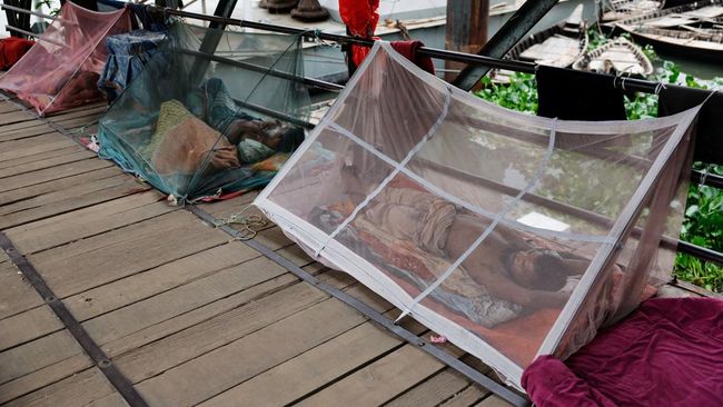 Serangga Kecil Bikin Negara Ini Diserang Wabah Ganas, 123 Meninggal