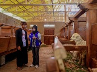 Konsisten Layani Keuangan Inklusif, BRI Peroleh Anugerah Ekonomi Hijau