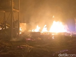 20 Ribu Ayam Mati Terpanggang Saat Kebakaran Kandang di Probolinggo