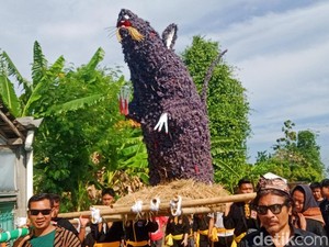 Petani di Delanggu Klaten Mengarak dan Membakar Ogoh-Ogoh Tikus, ini Maknanya