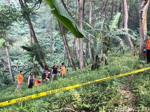 Terungkap Fakta secara Ilmiah soal Alvi Mutilasi Tiara 554 Potong