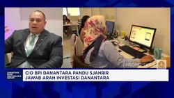 Video: CIO BPI Danantara Tegaskan Hasil Investasi Tak Instan