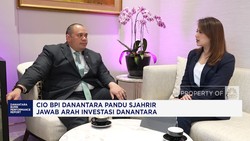 Video: CIO Danantara Sebut Pinjaman USD 10 M Bukti Kepercayaan Global