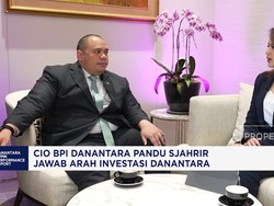 Video: CIO Danantara Sebut Pinjaman USD 10 M Bukti Kepercayaan Global