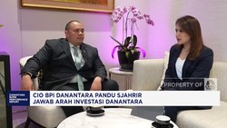Video: CIO Danantara Jawab Arah Investasi, Bidik 8 Sektor Utama
