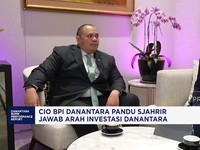 Video: CIO Danantara Jawab Arah Investasi, Bidik 8 Sektor Utama