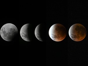Ada Gerhana Bulan Total 3 Maret 2026, Warnanya Merah Darah