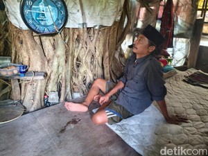 Jalal Butuh 30 Tahun untuk Sulap Pohon Beringin Jadi Rumah yang Unik