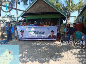 Pemprov Sulsel Tanam 142 Ribu Mangrove di 4 Kabupaten demi Rehabilitasi Pesisir