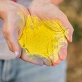 Harga Sulfur Dunia Melonjak 80%, Smelter Indonesia Jadi Korban