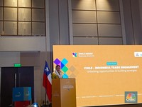 Wamendag Ungkap Pengusaha Otomotif-Sepatu RI Ramai-Ramai Incar Chile