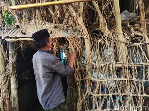 Butuh 30 Tahun Bagi Jalal Sulap Pohon Beringin Jadi Rumah Idaman