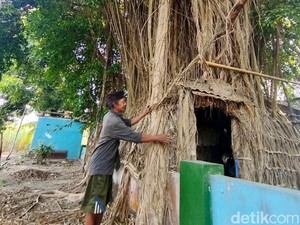 Cerita Jalal Sulap Pohon Beringin Jadi Rumah gegara Mimpi Misterius Ortu