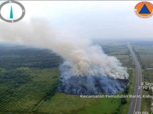 Lahan Seluas 4 Hektare di Samping Tol Palindra Terbakar, Sudah Padam