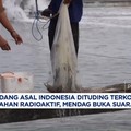 Video: Mendag Tanggapi Isu Udang RI Terkontaminasi Bahan Radioaktif