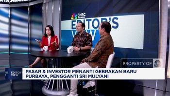 Video: Rekam Jejak Menkeu Purbaya, Pengganti Sri Mulyani