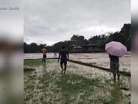 Banjir Bandang Nagekeo NTT: 4 Warga Tewas, 4 Hilang-18 Desa Terisolir