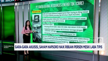 Video: Efek Akuisisi, Saham Hapsoro Terbang Ribuan Persen