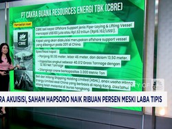 Video: Efek Akuisisi, Saham Hapsoro Terbang Ribuan Persen