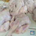 Harga Daging Ayam Naik, Peternak Blak-blakan Lega Tak Lagi Jual Rugi