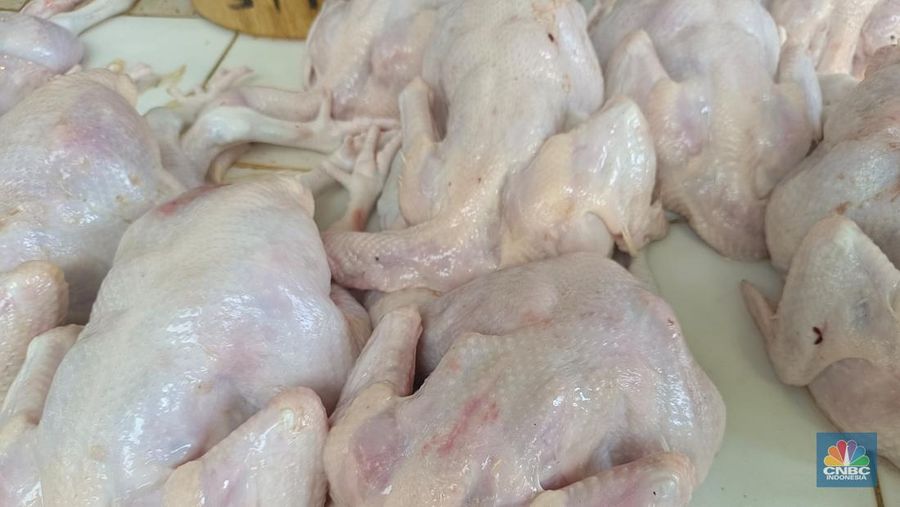Hasil pemantauan di Pasar Rumput, Jakarta Selatan, Rabu (10/9/2025) pagi, harga daging ayam meroket tajam. (CNBC Indonesia/Martyasari Rizky)