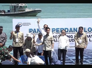 Gibran Minta Daerah Lain Contoh Batam Budi Daya Lobster