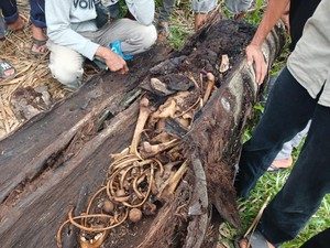 Angin Puting Beliung Bikin Kerangka Manusia dalam Pohon di Sergai Terbongkar