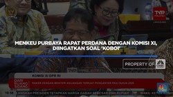 Komisi XI DPR Sentil Purbaya: Boleh Koboi Tapi Isi