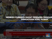 Komisi XI DPR Sentil Purbaya: Boleh Koboi Tapi Isi