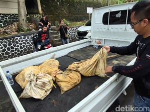 Polisi Amankan Sejumlah Orang di Lokasi Tambang Emas Ilegal Sukabumi