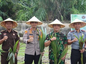 Polisi-TNI dan Imigrasi Tanam Kelapa di Dumai, Emas Hijau untuk Masa Depan