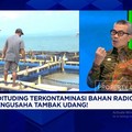 Video: Ekspor Udang RI ke AS Diganjal Isu Radioaktif, Pengusaha Cemas
